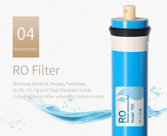 Sistema excepcional da purificação de água da osmose reversa de WellBlue do desempenho